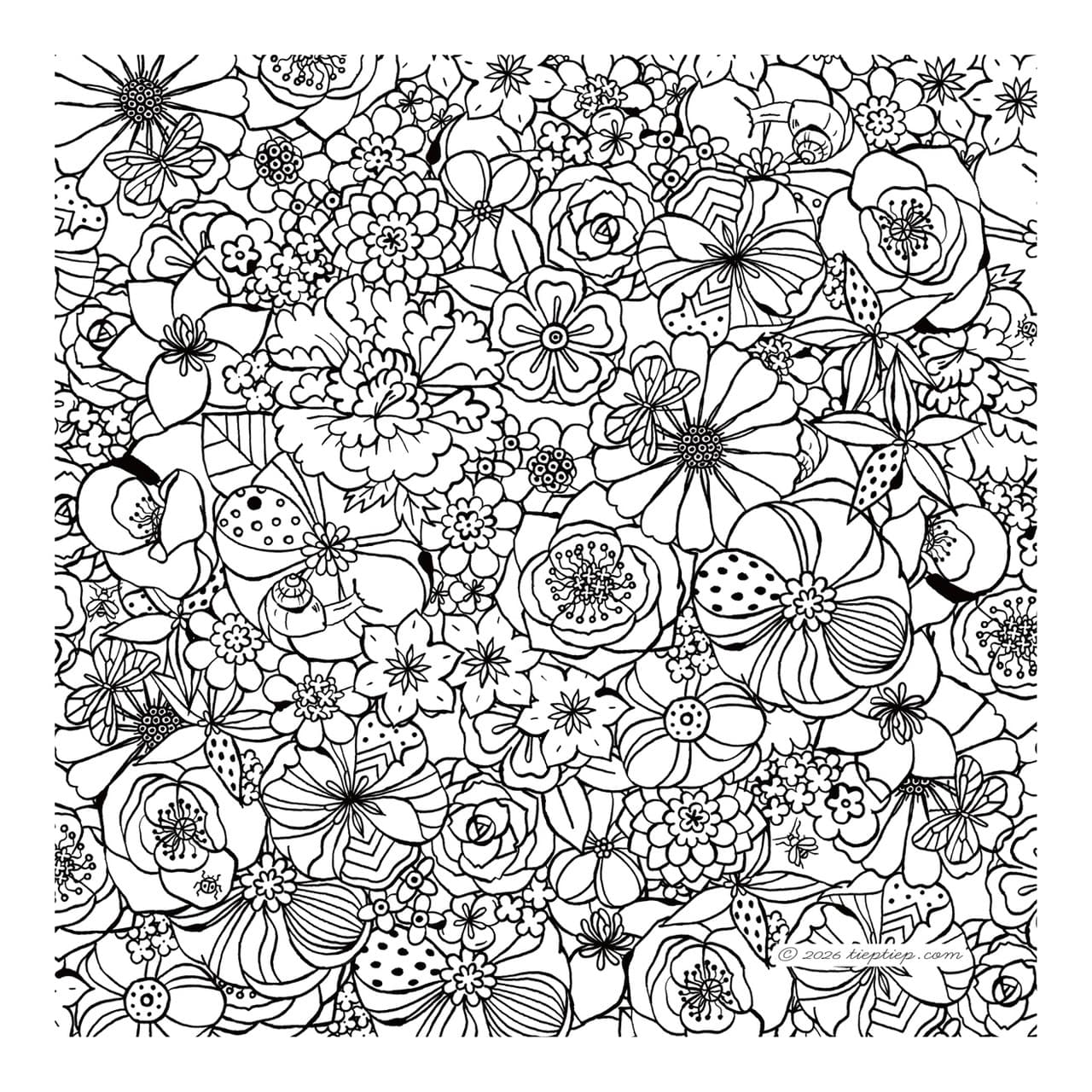 tieptiep.com illustration